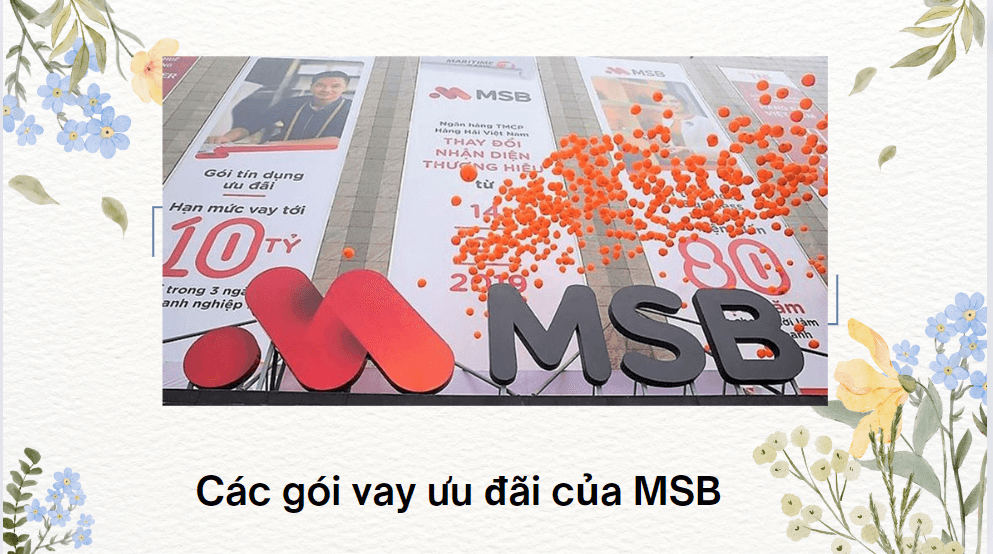 Các gói vay ưu đãi của MSB