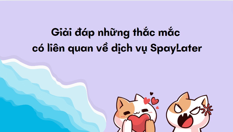 Giải đáp những thắc mắc có liên quan về dịch vụ SpayLater