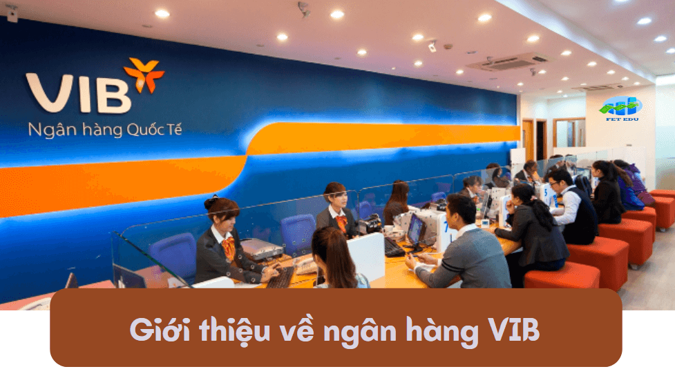 Giới thiệu về ngân hàng VIB 