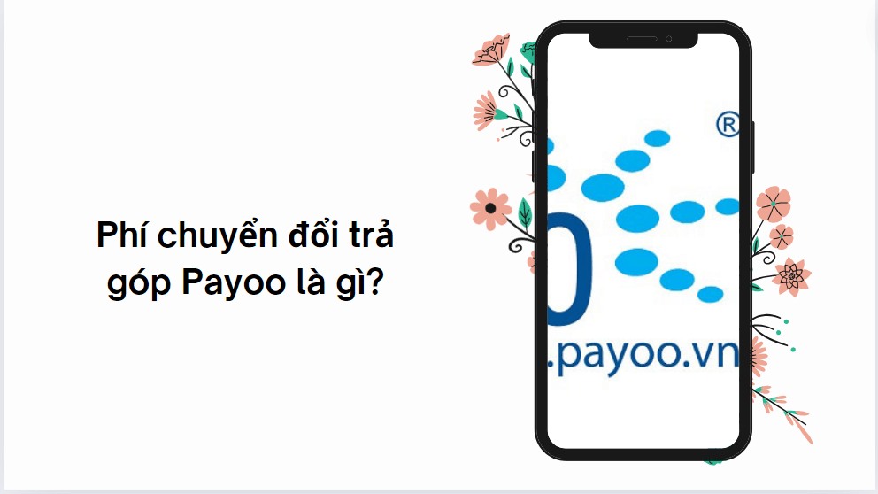 Phí chuyển đổi trả góp Payoo là gì